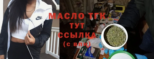 spice Бородино