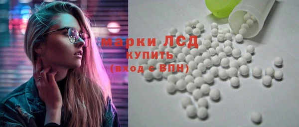 spice Бородино