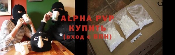 spice Бородино