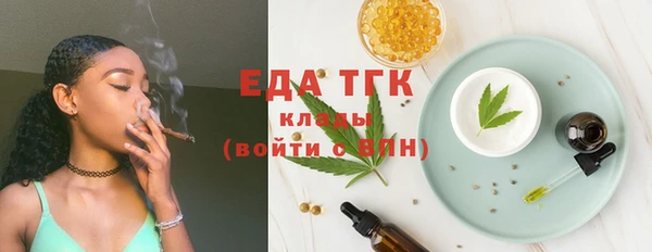 spice Бородино