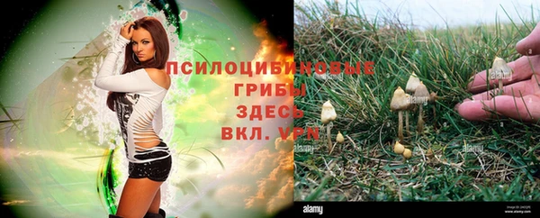 spice Бородино