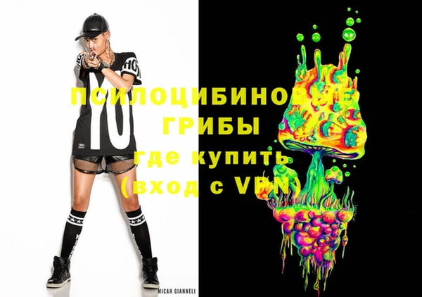 spice Бронницы
