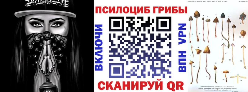 как найти Шумерля Галлюциногенные грибы MAGIC MUSHROOMS